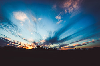 Nature, Trees, Sunset, Sky, Twilight, Horizon, Dusk, Evening HD wallpaper