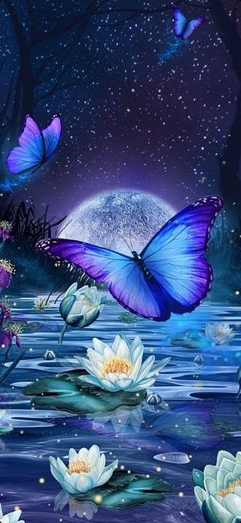 Butterfly, blue, liquid HD phone wallpaper