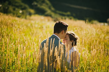 A couple shares a tender moment in a sunlit wheat field, exuding warmth and romance. HD wallpaper