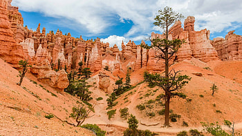 Bryce Canyon National Park, Hoodoos of Queens Stone, eyecandy, Beautiful HD wallpaper