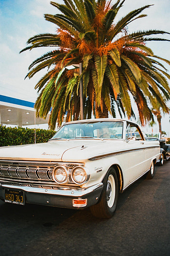 Cars, Car, Palm, Old, Retro HD phone wallpaper