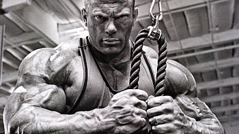 bodybuilding , Fitness lifestyle shots, Workout visuals, Muscle building journey HD wallpaper