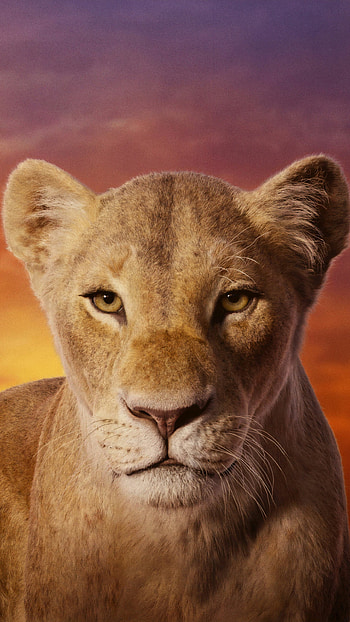 Nala, The Lion King HD phone wallpaper
