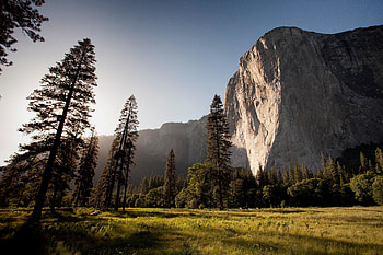 Mountains, landscape, nature, tree, sunny day HD wallpaper