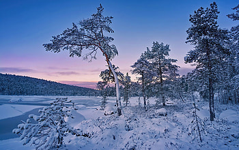 Frozen Lake, winter, frozen, snow, lake HD wallpaper