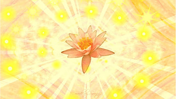 Revitalising Cleanliness, revival, revitalising, power, yellow, orange, cleanliness, lotus HD wallpaper