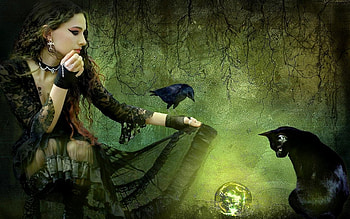 Witch, black, bird, pasare, girl, cat, raven, crow, fantasy, green HD wallpaper