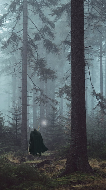 Guts in the Misty Berserk Forest — Anime , tree, forest, Guts (Berserk), Anime, Berserk, anime forest HD phone wallpaper
