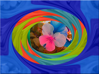 swirling love, blue, colors, depth, flower HD wallpaper