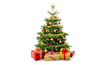Christmas tree on a white background, Happy New Year, Merry Christmas, gifts under the tree, Christmas HD wallpaper