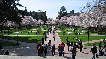 Backgrounds For Texas Tech University Campus Backgrounds . HD wallpaper