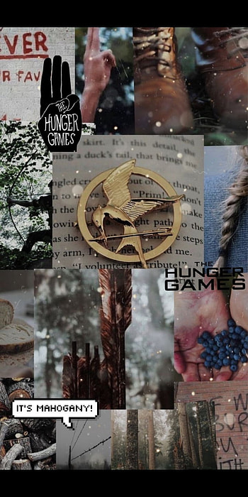Hunger games, berry, collage HD phone wallpaper