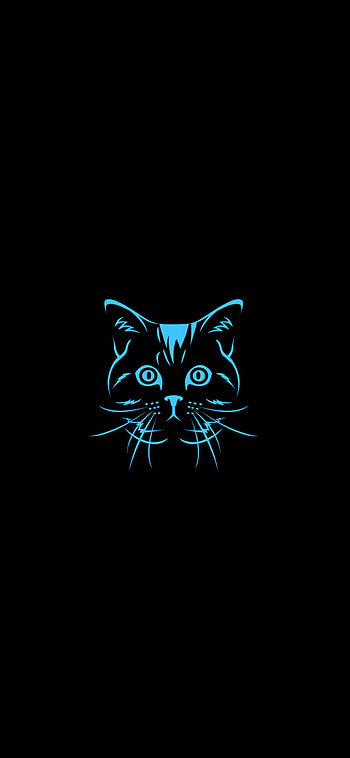Cat logo, eye, whiskers HD phone wallpaper