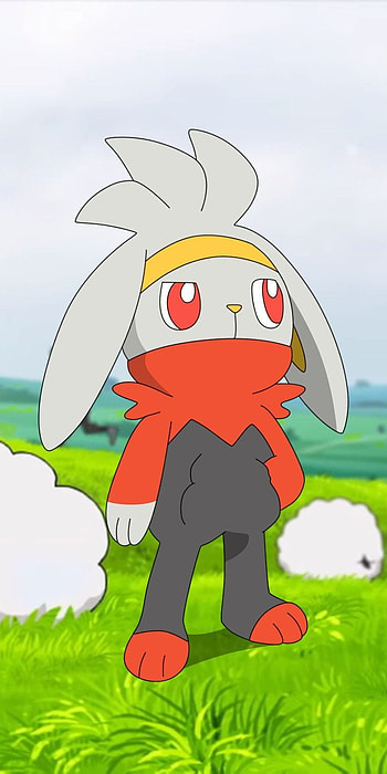 Raboot, Pokemon HD phone wallpaper