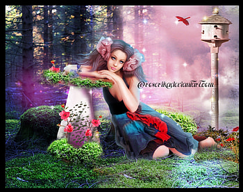 **THE ANGEL MUSHROOM**, birds, emotional, grasses, gentle, artists, colors, wonderful, mushroom, animals, emo, adorable, female, sweet, splendid, gorgeous, rocks, stones, angels, fantasy, pretty, romantic, models, lovely, Roserika, colorful, softness, cute, digital art, abstract, beautiful, romance, love, manipulation, cool, girls, fairies, flowers, women, tender touch, splendor HD wallpaper