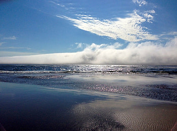 Fog rolling into the beach, blue, breathtaking, graphy, sunrise, beach, fog, seascape, , sky, ocean HD wallpaper