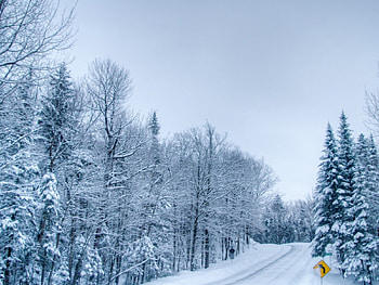 trees and snow road, winter, road, snow, tree HD wallpaper