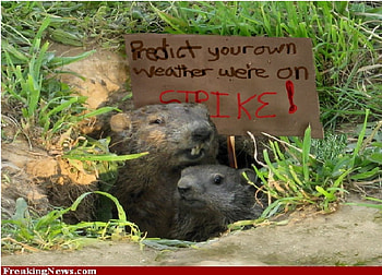 Groundhog Strike, groundhog, placard, strike, burrow HD wallpaper
