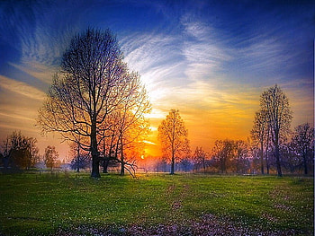 Listen to the silence, wispy clouds, gold and blue sky, trees, autumn, grass, sunset HD wallpaper