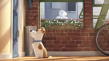 The Secrete Life of Pets Movie Main Character, the-secret-life-of-pets, movies, animated-movies, cartoons, 2016-movies HD wallpaper