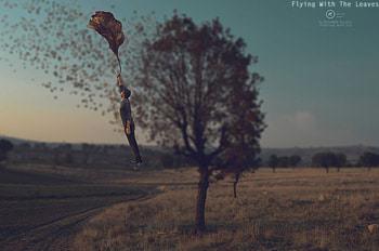 Flying With The Leaves, natural, leaves, designer, graphy, hop, trees, leaf, flying HD wallpaper