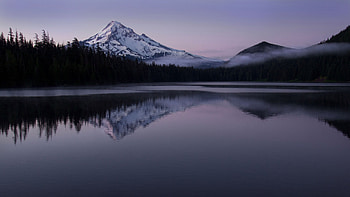 Beautiful Landscape View Of Mountain With Snow Green Spruce Trees Reflection On Lake Mountain HD wallpaper