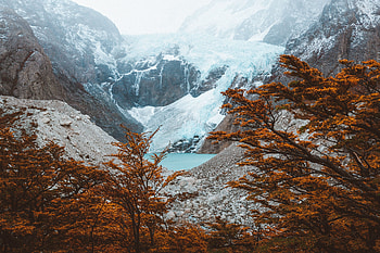 Nature, Trees, Mountains, Lake, Argentina, El Chalten HD wallpaper