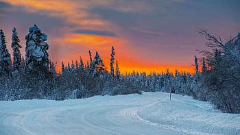 Fiery Sunset, winter, snow, landscape, trees, colors, clouds, sky, forest HD wallpaper