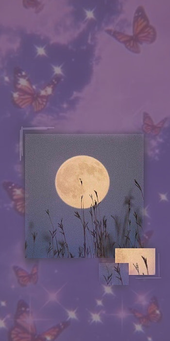 Moon and Butterfly, moon butterfly aesthetic HD phone wallpaper