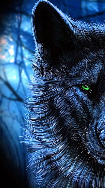 Dark blue : Dark Black Wolf, Evil Wolf Eyes HD phone wallpaper