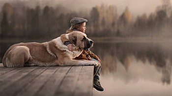 Aidi dog, Kids and dogs, 1440p resolution HD wallpaper