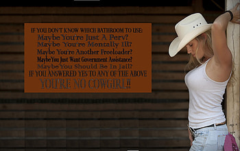Can You Read?.., style, barn, cowgirl, political, fun, fashion, outdoors, ranch, blondes, sign, girls, women, models, western, hats, female HD wallpaper