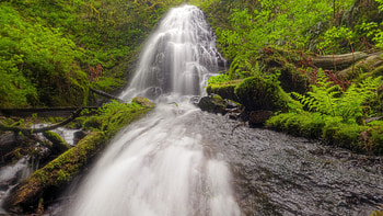Fairy Falls, lush, lichen, waterfalls, beautiful, ferns, logs, fallen, nature, forest HD wallpaper