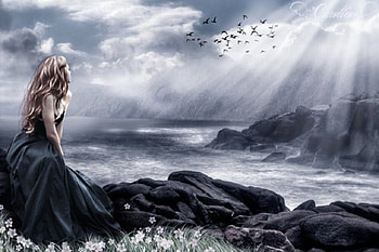 Waiting Forever, sea, gothic, birds, fantasy, art, lights, flowers, girl HD wallpaper