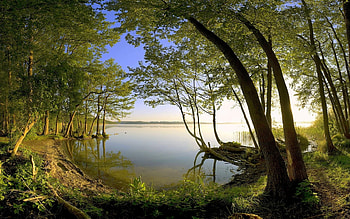 Landscape, Rivers, Trees HD wallpaper