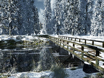 Snow take rest in tree, digital art, lovely HD wallpaper