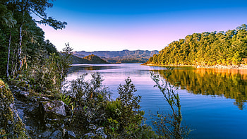 New Zealand, Lake Waikaremoana, trees, sky, water, reflections, landscape HD wallpaper