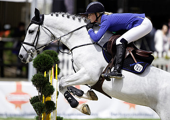 Equestrian show jumping, Jumping HD wallpaper