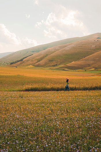 Flowers, Grass, Miscellanea, Miscellaneous, Field, Hills, Girl HD phone wallpaper