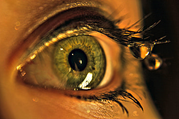 Drops, Macro, Eye, Eyelash, Eyelashes HD wallpaper