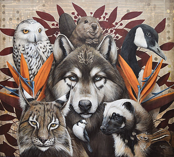 Animals, bufnita, owl, wolf, animal, art, bird, strelitzia, sophie wilkins, goose, lynx, flower, pasari HD wallpaper