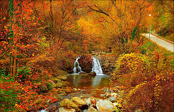 Autumn River, Track, Stones, Autumn, Waterfall HD wallpaper