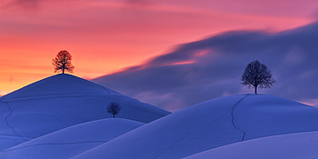 Winter, Nature, Trees, Sunset, Snow, Hills HD wallpaper