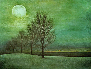 Lake shore in moonlight, trees, lakeshore, moon, snow HD wallpaper