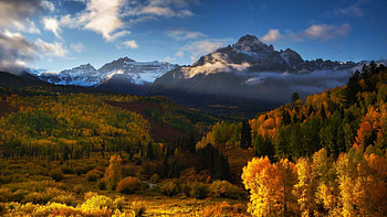 Fall colors and snowy mountains at sunrise in Colorado, leaves, forest, trees, colors, landscape, usa HD wallpaper