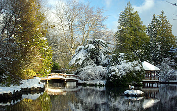 Snow, , Winter, Bridge HD wallpaper