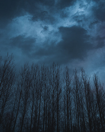 Nature, Trees, Sky, Clouds, Dark HD phone wallpaper