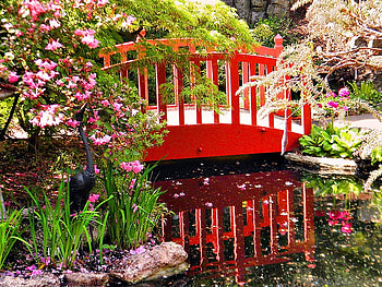 Summer garden, summer, reflection, red, floral, garden, bridge HD wallpaper