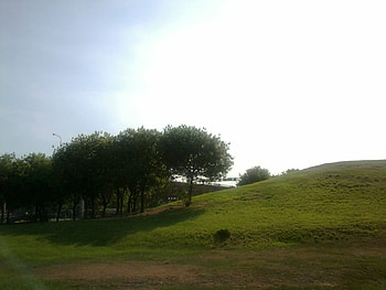 Taiwan Kaohsiung~Hill, grass, sky, tree HD wallpaper