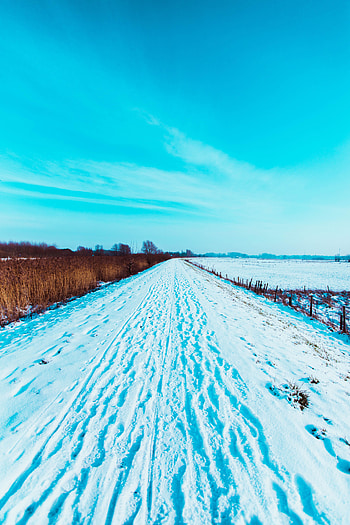 Landscape, Winter, Nature, Snow, Road, Field, Traces HD phone wallpaper